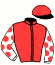 Casaque du jockey de Jerry De Bellande