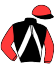 Casaque du jockey de Iryska Lesmelchen