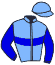Casaque du jockey de Mercury Delo