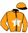 Casaque du jockey de Ame Divine