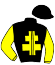 Casaque du jockey de Yellow Hawk