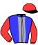 Casaque du jockey de Legende De Nilrem