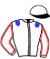 Casaque du jockey de Loup D'Erpion