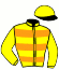 Casaque du jockey de Christine