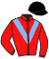 Casaque du jockey de Off To Dubai