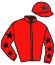 Casaque du jockey de Flory Du Ninian