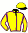 Casaque du jockey de Pleasing