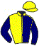 Casaque du jockey de Elim