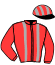 Casaque du jockey de The Hummingbird