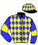 Casaque du jockey de Bleusky