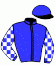 Casaque du jockey de Regalien