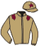 Casaque du jockey de Golden Pharaoh