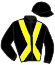 Casaque du jockey de Majeste Deciergues