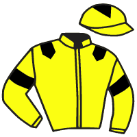 Casaque du jockey de Ho Milady