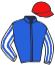 Casaque du jockey de Demidoff Cla