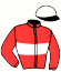 Casaque du jockey de Lady Ga