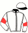 Casaque du jockey de Spring Steel