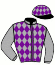 Casaque du jockey de Merlin Family