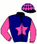 Casaque du jockey de Escroc De Villabon