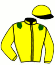 Casaque du jockey de Nice Ruler