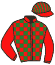 Casaque du jockey de Leon De Luffy