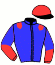 Casaque du jockey de Icarino Du Choquel