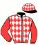 Casaque du jockey de Ibili De Salta