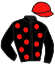 Casaque du jockey de Hiso