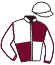Casaque du jockey de Le Palefrenier