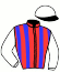 Casaque du jockey de Jack Des Mottes