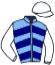 Casaque du jockey de Shrihara