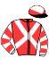 Casaque du jockey de Lady Byron