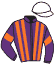 Casaque du jockey de Violet Leduc