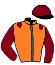 Casaque du jockey de High Hope