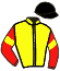 Casaque du jockey de Shamsabad