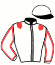 Casaque du jockey de Blakpearl De Roche