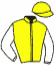 Casaque du jockey de Maralight