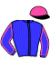 Casaque du jockey de Loustic