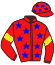 Casaque du jockey de La Lettre