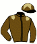 Casaque du jockey de Majesticwells