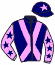 Casaque du jockey de Vladivia