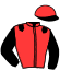 Casaque du jockey de Haza