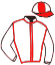 Casaque du jockey de Beringia