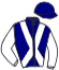 Casaque du jockey de Arnay Le Duc