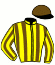 Casaque du jockey de Belvedere Palace