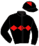 Casaque du jockey de Haaricia