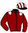 Casaque du jockey de Bloomtaal