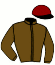 Casaque du jockey de Sarastro