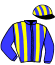 Casaque du jockey de Helma De Busset