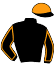 Casaque du jockey de Hamilton Fouteau